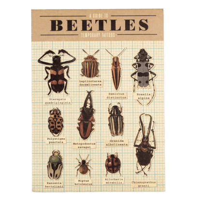 Tattoos Set - Beetles