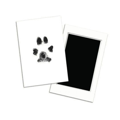 Clean-touch-ink Pad - Pet