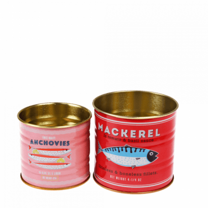 Mini Storage Tins - Fish